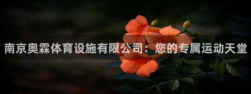 意昂4娱乐是那个系列的台子：南京奥霖体育设施有限公司