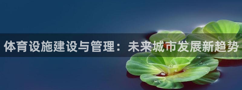 意昂体育4软件：体育设施建设与管理：未来城市发展新趋