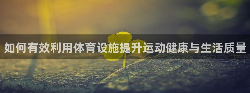 意昂体育4：如何有效利用体育设施提升运动健康与生活质