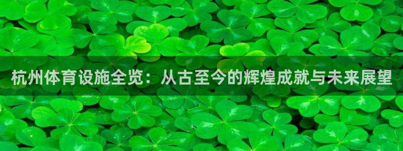 意昂体育4招商电话地址：杭州体育设施全览：从古至今的辉煌成就