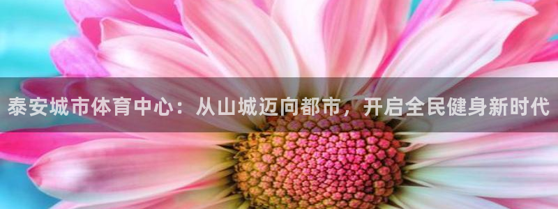 意昂平台体育