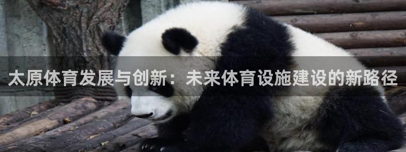 意昂体育4招商电话：太原体育发展与创新：未来体育设施建设的新