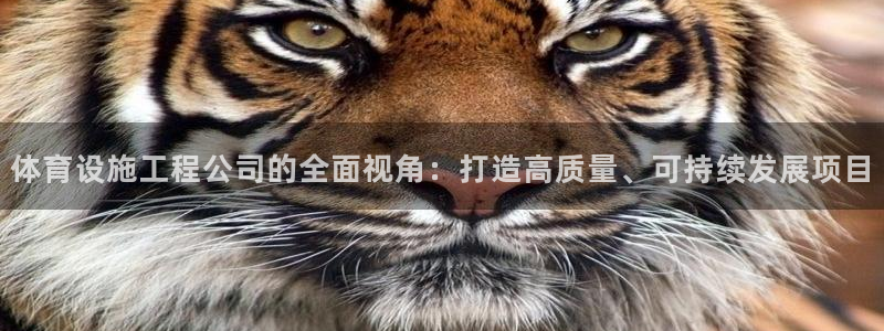 意昂体育4平台：体育设施工程公司的全面视角：打造高质量、可持