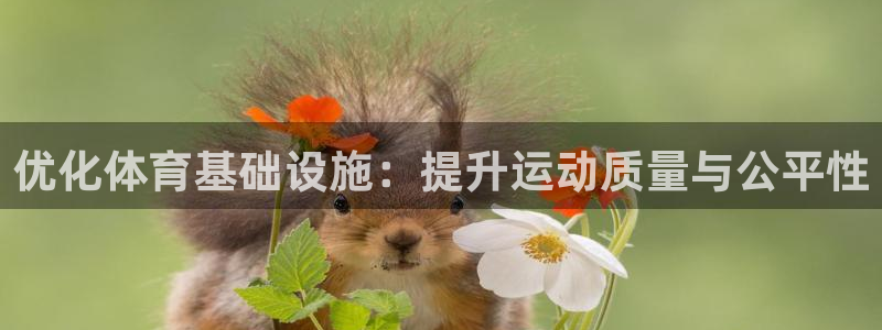 意昂4集团简介：优化体育基础设施：提升运动质量与公平