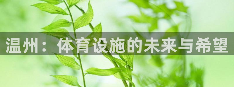 意昂体育4是干嘛的公司：温州：体育设施的未来与希望