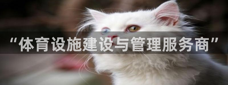 意昂体育4平台注册流程图：“体育设施建设与管理服务商