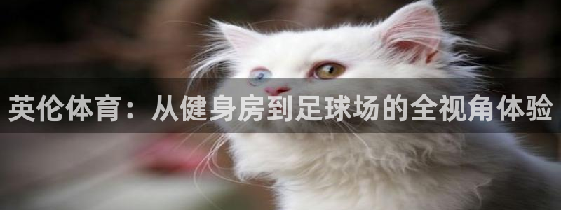 意昂体育4注册：英伦体育：从健身房到足球场的全视角体