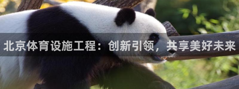 意昂体育4平台是正规平台吗知乎：北京体育设施工程：创