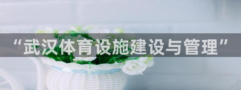 注册意昂4：“武汉体育设施建设与管理”