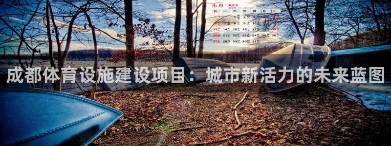 海南意昂体育4发展怎么样：成都体育设施建设项目：城市