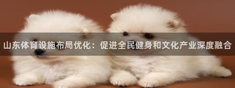 德国意昂4集团：山东体育设施布局优化：促进全民健身和