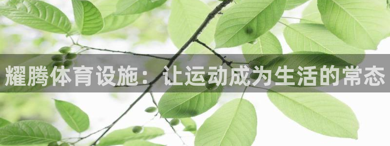 意昂4官方：耀腾体育设施：让运动成为生活的常态