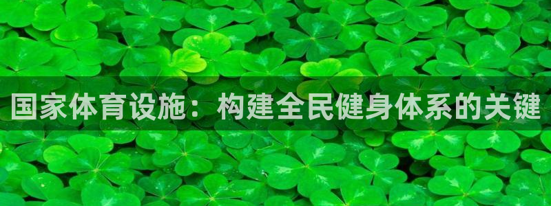 意昂体育4招商电话：国家体育设施：构建全民健身体系的