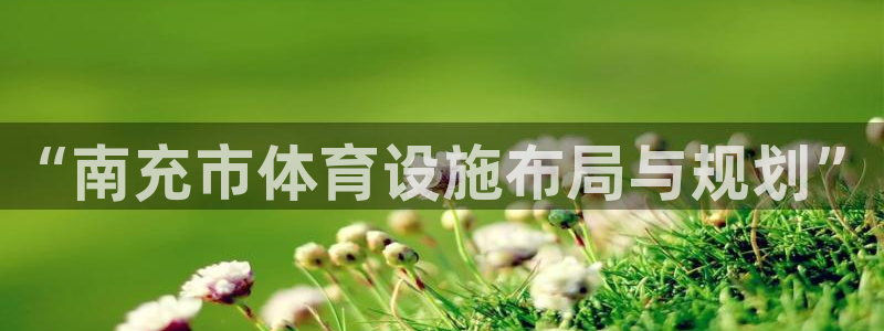 意昂4娱乐网站：“南充市体育设施布局与规划”