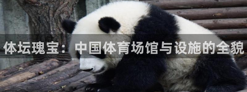 意昂4集团官网首页：体坛瑰宝：中国体育场馆与设施的全