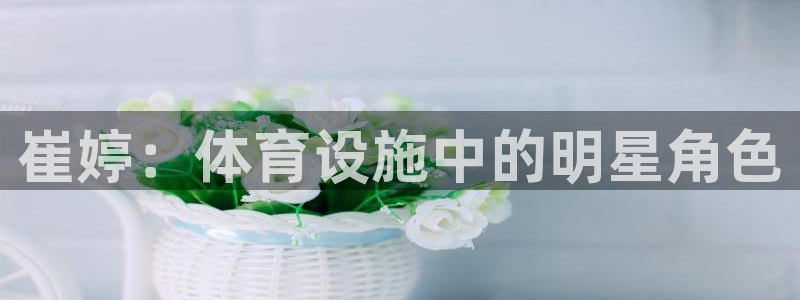 意昂体育4平台是正规平台吗知乎：崔婷：体育设施中的明星角色