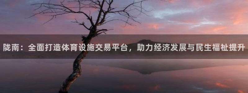 意昂平台体育：陇南：全面打造体育设施交易平台，助力经济发展与