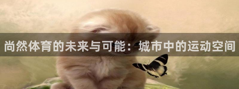 意昂体育4招商：尚然体育的未来与可能：城市中的运动空间 