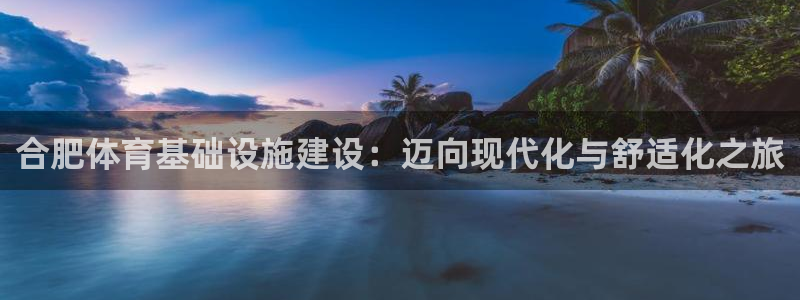 意昂4新能源：合肥体育基础设施建设：迈向现代化与舒适