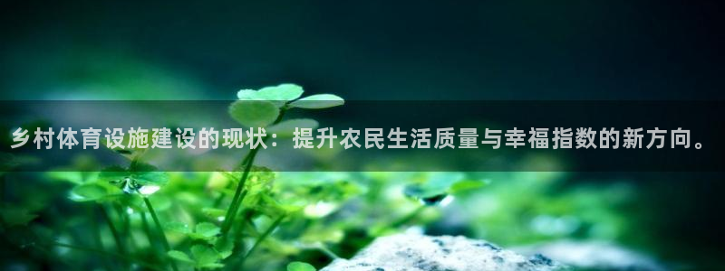 意昂4开户：乡村体育设施建设的现状：提升农民生活质量