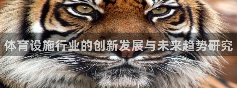 意昂体育4平台注册要钱吗安全吗：体育设施行业的创新发