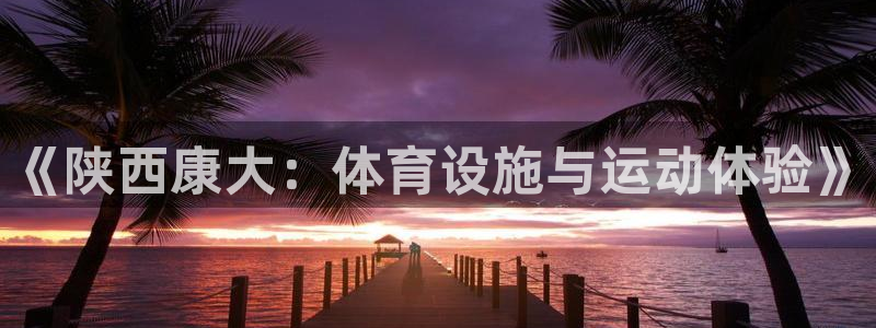 意昂4代理：《陕西康大：体育设施与运动体验》