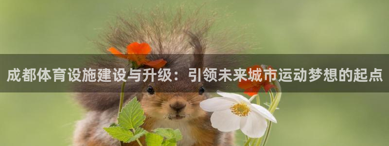 意昂体育4平台是正规平台吗：成都体育设施建设与升级：引领未来