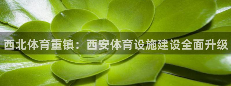 意昂4娱乐平台：西北体育重镇：西安体育设施建设全面升