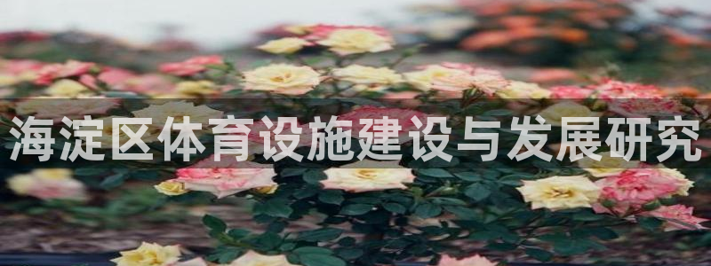 意昂集团官网：海淀区体育设施建设与发展研究