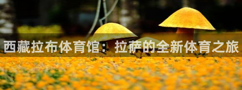 德国意昂4集团：西藏拉布体育馆：拉萨的全新体育之旅