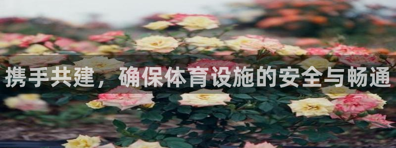 意昂4集团官网网址：携手共建，确保体育设施的安全与畅
