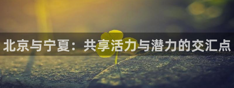 意昂体育4平台是正规平台吗：北京与宁夏：共享活力与潜