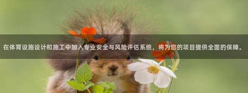 意昂4集团官网首页：在体育设施设计和施工中加入专业安