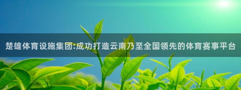 意昂4代理：楚雄体育设施集团:成功打造云南乃至全国领