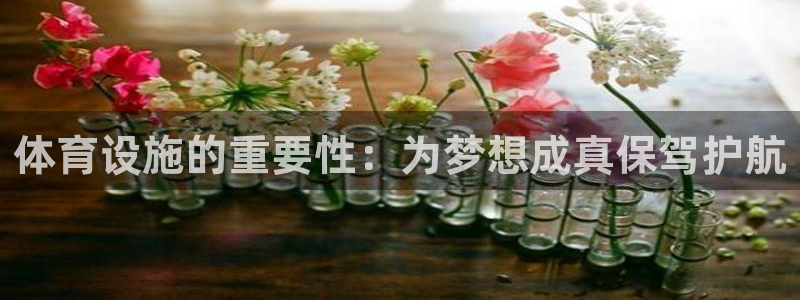 意昂4代理：体育设施的重要性：为梦想成真保驾护航