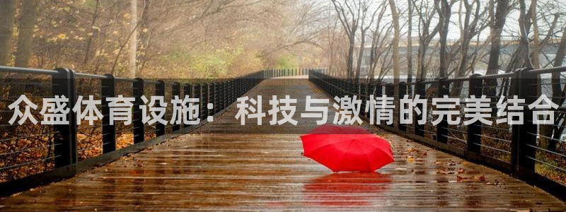意昂体育4招商：众盛体育设施：科技与激情的完美结合