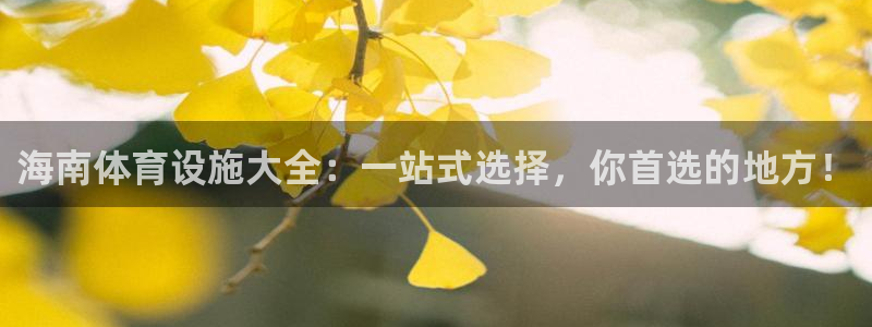 意昂体育4平台注册：海南体育设施大全：一站式选择，你