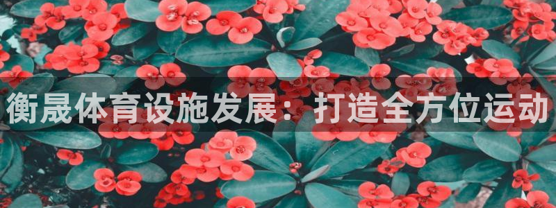 意昂体育4注册：衡晟体育设施发展：打造全方位运动 