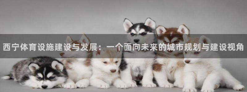 海南意昂体育4：西宁体育设施建设与发展：一个面向未来的城市规