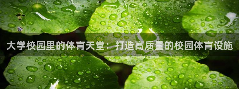 意昂体育4平台注册：大学校园里的体育天堂：打造高质量的校园体