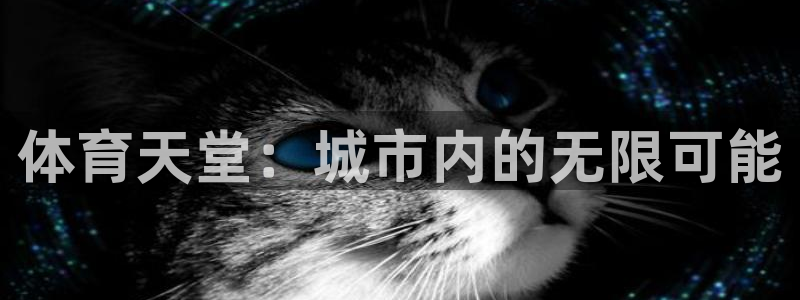 意昂4娱乐首页网站大全：体育天堂：城市内的无限可能 