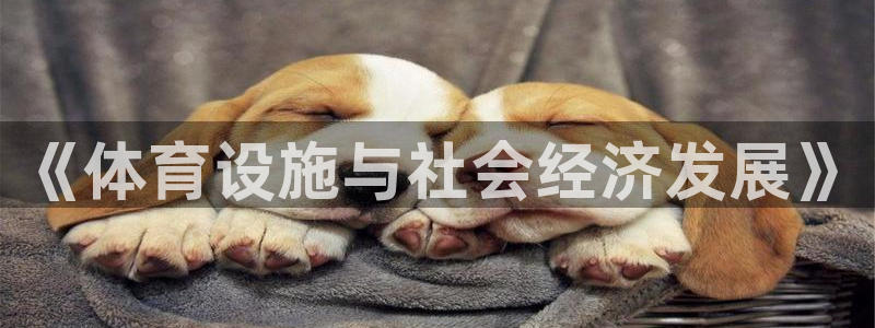 海南意昂体育4：《体育设施与社会经济发展》
