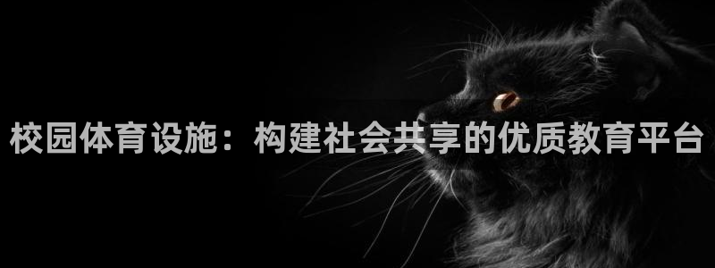 意昂体育4平台注册要钱吗是真的吗：校园体育设施：构建社会共享