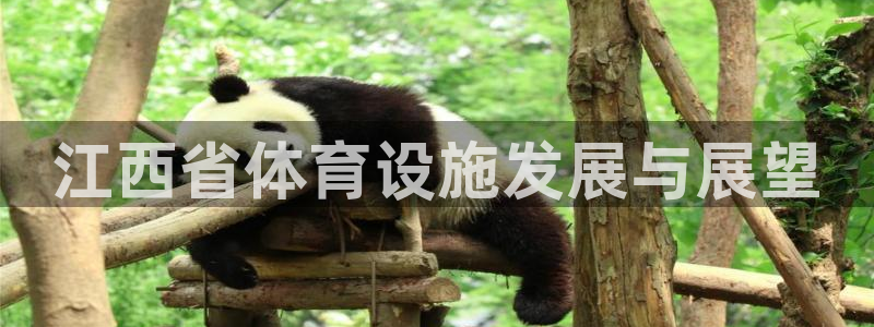 德国意昂4集团：江西省体育设施发展与展望