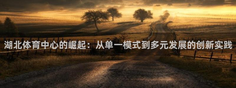 意昂4娱乐首页官网下载：湖北体育中心的崛起：从单一模