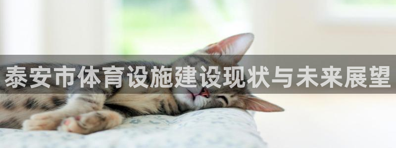 意昂体育4招商电话是多少：泰安市体育设施建设现状与未来展望