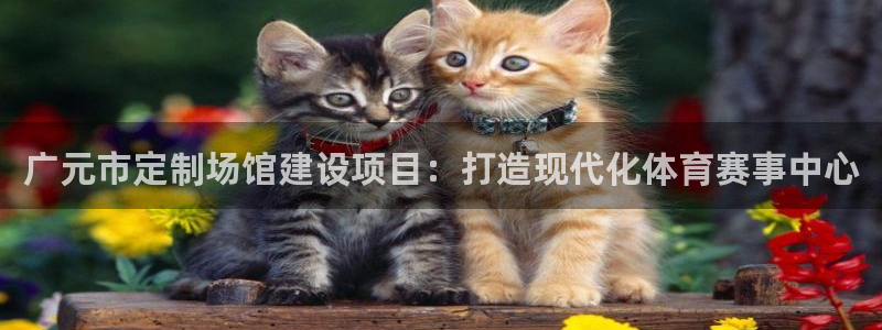 注册意昂4：广元市定制场馆建设项目：打造现代化体育赛