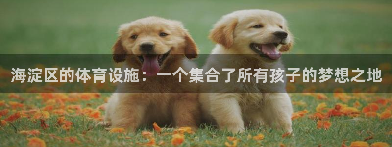 意昂体育4是干嘛的公司：海淀区的体育设施：一个集合了