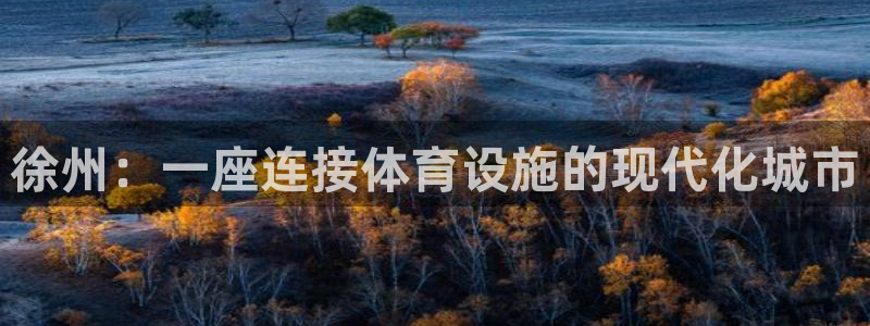 意昂4娱乐平台：徐州：一座连接体育设施的现代化城市 